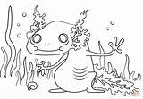 Axolotl Coloring Pages Cartoon Kids Printable Animal Designlooter Newt Neds Drawing Click 1186 41kb sketch template