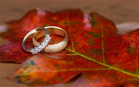 wedding ring wallpapers hd wallpapers