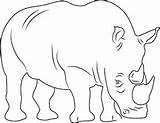 Nashorn Ausmalbild Ausdrucken sketch template