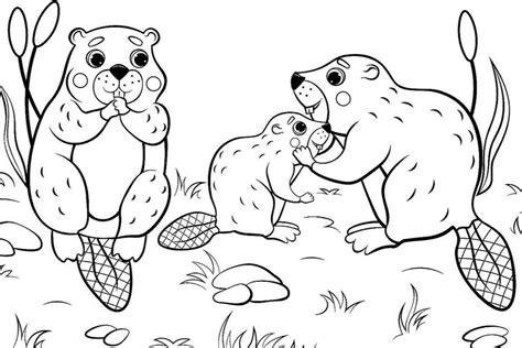 coloring pages   kinds  animals expert fabianecdixon
