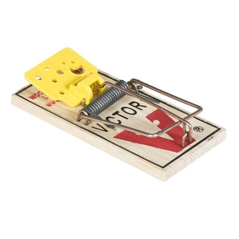 victor easy set mouse trap  pack   home depot