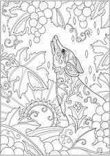Coloring Pages Dover Publications Animal Fox Adult Choose Board Welcome Creative Books sketch template