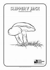 Slippery Pages Mushrooms sketch template