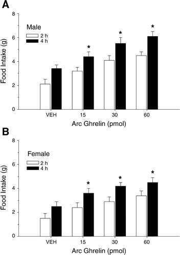 ghrelin is an orexigenic and metabolic signaling peptide