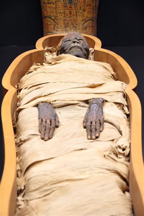 Egyptian Mummy Stock Image Image Of Hair Exotic Halloween 148146503