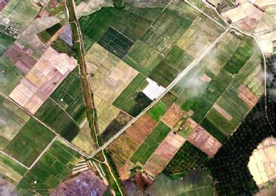 pemanfaatan citra satelit  pertanian  perkebunan inderaja image