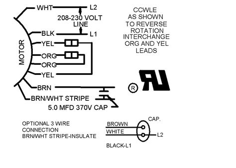 dayton  hp  electric motors wiring diagram