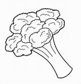 Broccoli Coloringbay sketch template