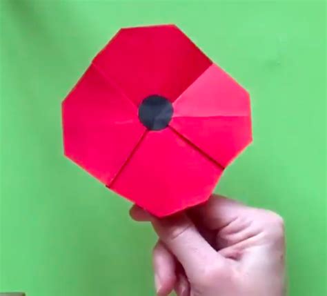 origami poppy maths  toast