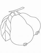 Guava Coloring Pages Sketch Kids Fruit Two Drawing Colouring Vector Sheets Bestcoloringpages Print Color Guavas Fruits Printable Sketches Clip Paintingvalley sketch template