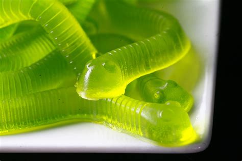 Dill Pickle Gummy Worms Celebration Generation