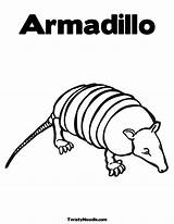 Armadillo Coloring Pages Animal Clipart Twistynoodle Kids Book Webstockreview sketch template