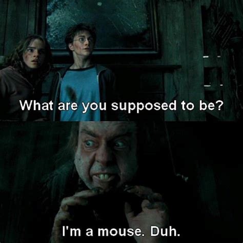 Duh 😂 Harrypottermemes Regram Via Harry Potter Memes Harry Potter