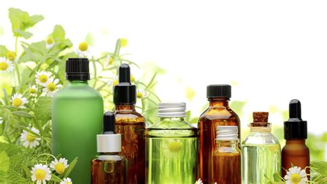 essential oils   safe