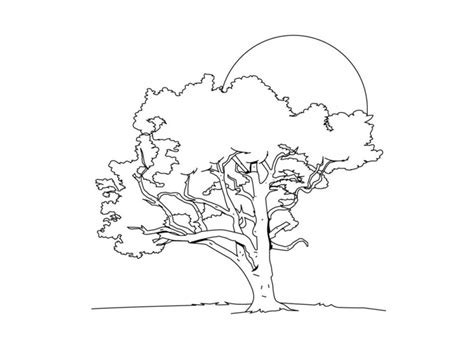 spring tree coloring pages coloring pages