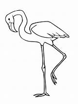 Flamingo Coloring Pages Bird Pink Flamingos Printable Drawing Simple Kids Colouring Color Animal Supercoloring Inspired Birds Print Categories Printables sketch template