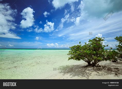 cayo coco island beach image photo  trial bigstock