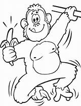 Mewarnai Hewan Sketsa Lucu Monyet Belajar Tk Binatang Banane Chimpanze Marimewarnai Mudah Paud Kumpulan Rara Diwarnai Sd Terlengkap Kera Nussa sketch template