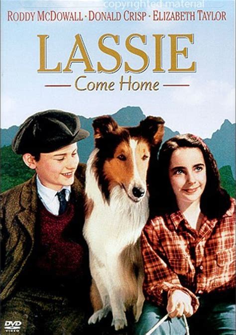 lassie come home dvd 1943 dvd empire