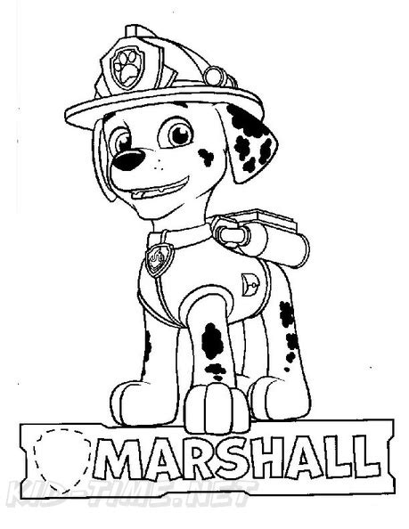 marshall paw patrol coloring book page  coloring book pages