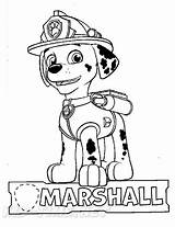 Coloring Marshall Paw Patrol Pages Book Metadata Slideshow  Show sketch template