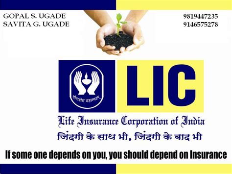 insurence investment  lic lic investment insurance