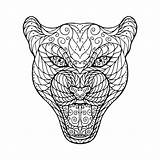 Giaguaro Groviglio Testa Zentangle Jaguars Colouring Coloringareas Illustrationen sketch template