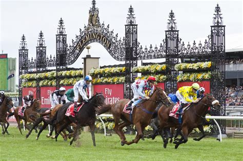 melbourne cup  predictions betting tips