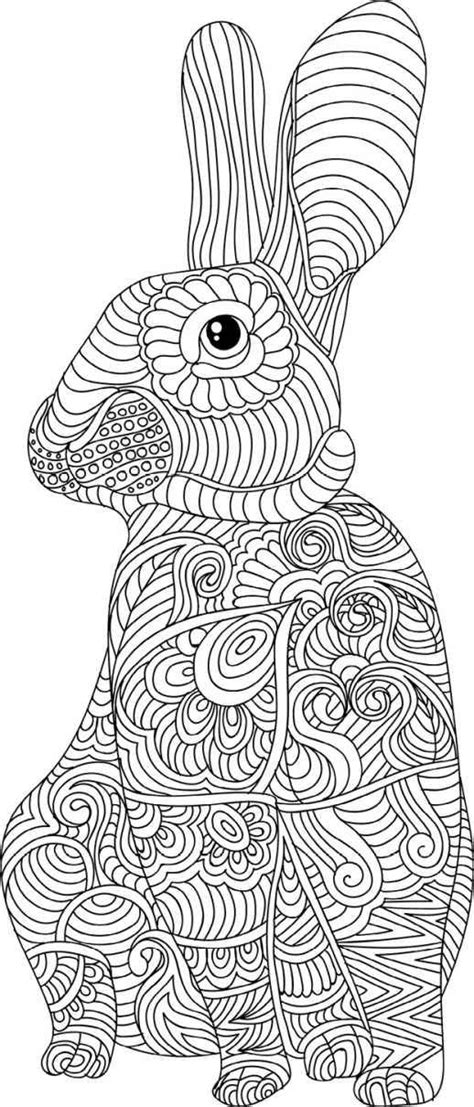 pin  coloring pages  print animals