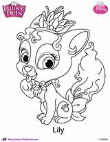 Pets Whisker Haven Skgaleana Coloring4free Mascota Dibujalandia Prinzessinnen อม ได าอ Stemmen Erstellen sketch template