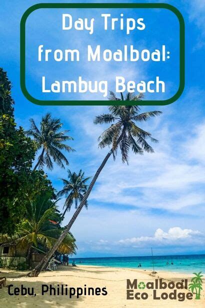 lambug beach badian day trips from moalboal cebu