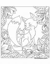 Coloring Foxes Flowers sketch template