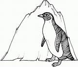 Penguin Pinguin Penguins Pingouin Mewarnai Pinguim Emperor Colorir Pinguini Kleurplaten Eisberg Animaux Pinguino Iceberg Albumdecoloriages Adelie 색칠 Sedang Bingung Anaknya sketch template