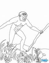 Homo Habilis Prehistory Prehistoric Preistoria Lanza Prehistoricos Uomini Primitivi Giochiecolori Getdrawings από αποθηκεύτηκε sketch template