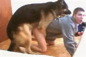 Gay k9 fuck