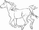 Horse Coloring Pages Mustang Horses Galloping Simple Color Rearing Bucking Drawings Printable Wild Thoroughbred Jockey Pony Shetland Dressage Running Getcolorings sketch template