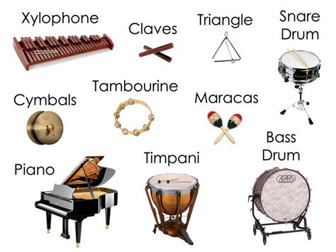 percussion instruments   great scientists