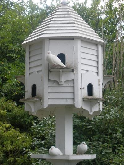 doves images bird houses dove house bird house feeder