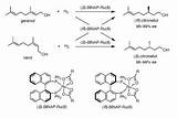 Hydrogenation Asymmetric Intechopen Ruthenium Figure sketch template