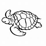 Marine Animals Tortue Coloriage Coloring Imprimer Dessin Animaux Et Coloriages Drawing Fr Mandala sketch template