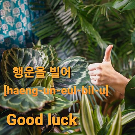 Video How To Say Good Luck In Korean Learn Korean Free