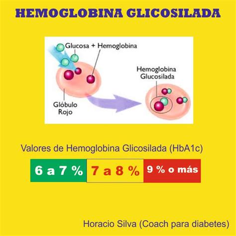guía del diabetico hemoglobina glicosilada