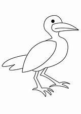 Seagull Outline Coloring Pages Cartoon Kids Netart sketch template