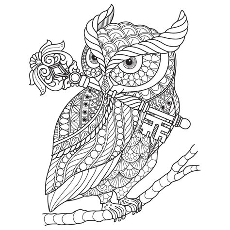 owl coloring pages    verbnow