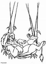 Lion Simba Hammock Coloring Pages King Jungle Napping Disney Hellokids Print Color sketch template