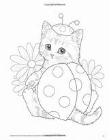 Coloring Teacup Kitten Pages Kittens Book Cat Harai Kayomi Colouring Books Amazon Adult Cats Designs Animal Printable Cute Expressive Eyed sketch template