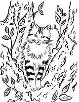 Cat Coloring Tree Samanthasbell sketch template