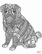 Coloring Pug Pages Dog Zentangle Printable sketch template
