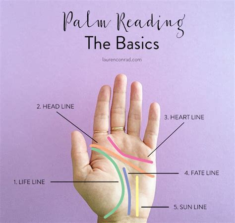 hocus pocus  easy guide  palm reading  lauren conrad