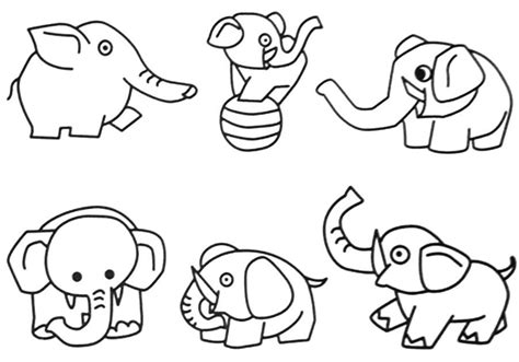 printable coloring pages jungle animals  coloring page